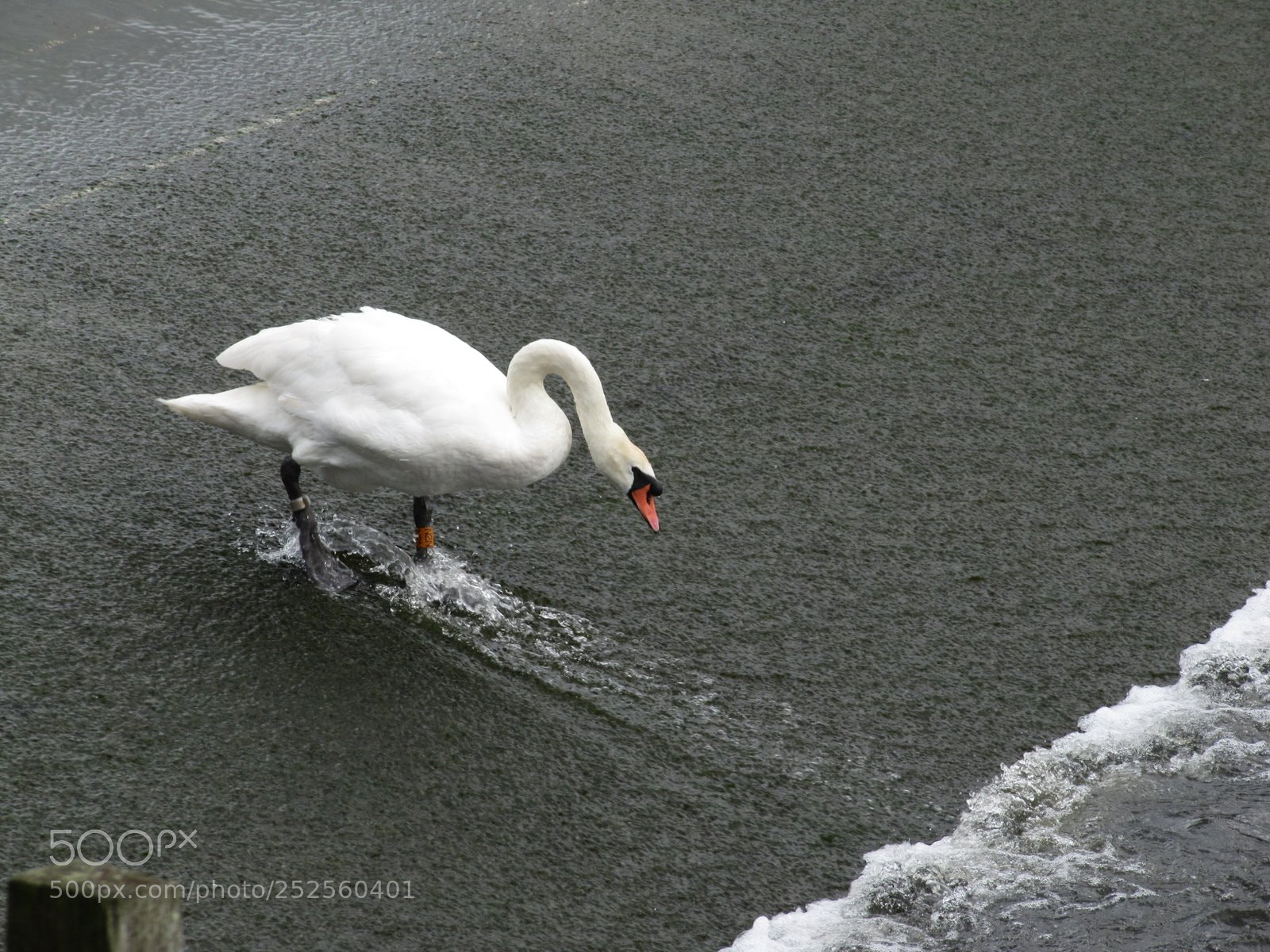 Canon PowerShot SX200 IS sample photo. Img photography