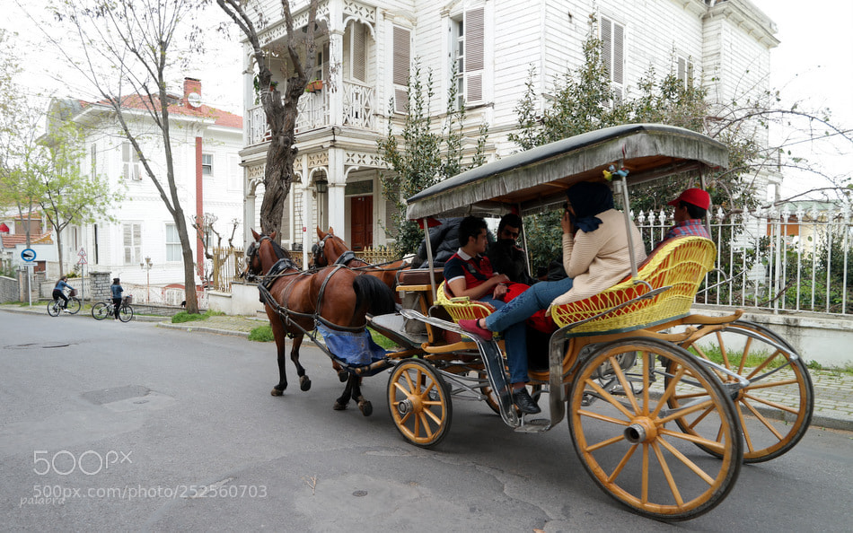 Samsung NX30 sample photo. ... photography