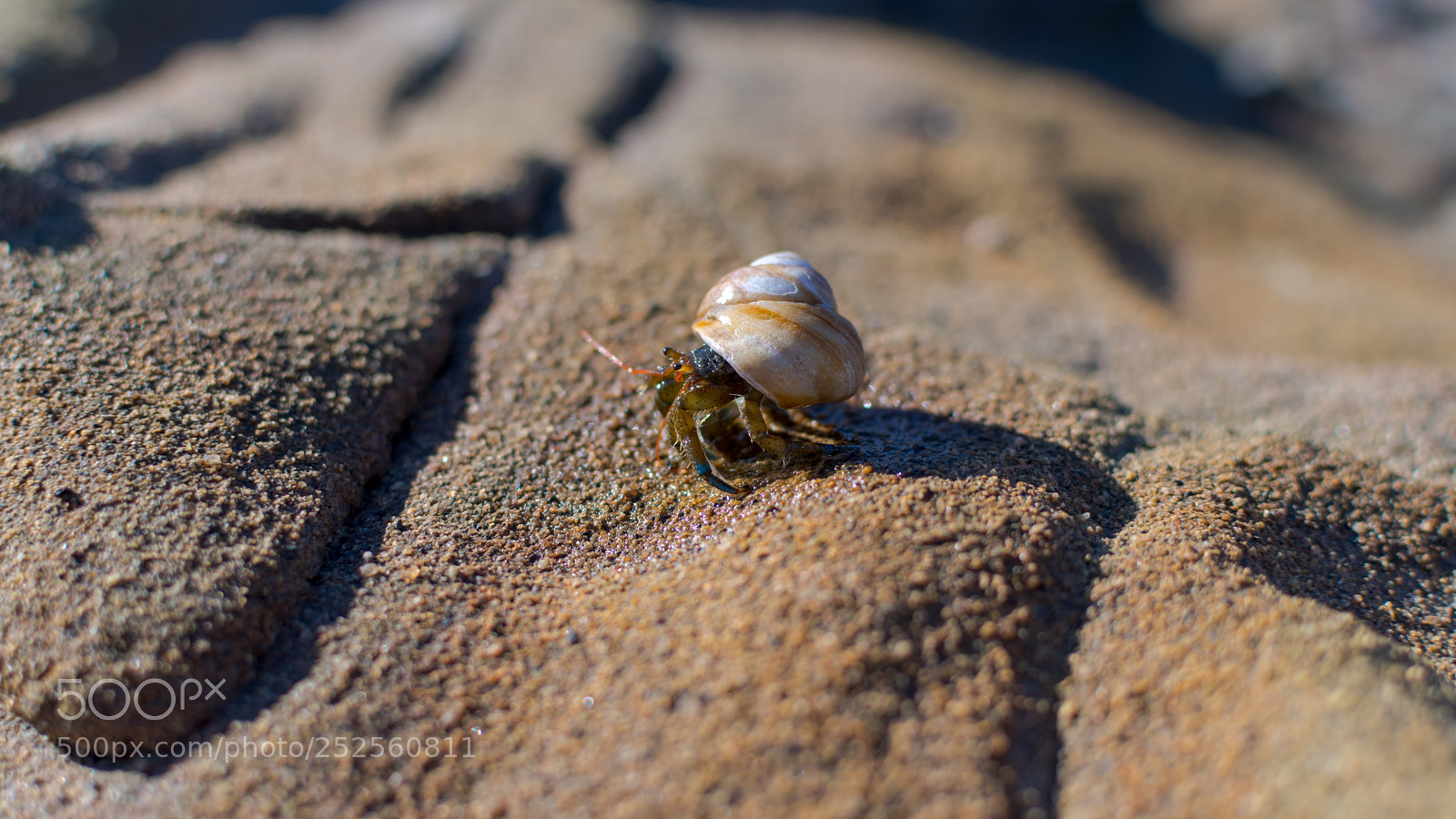 Nikon D7500 sample photo. Out of the water photography