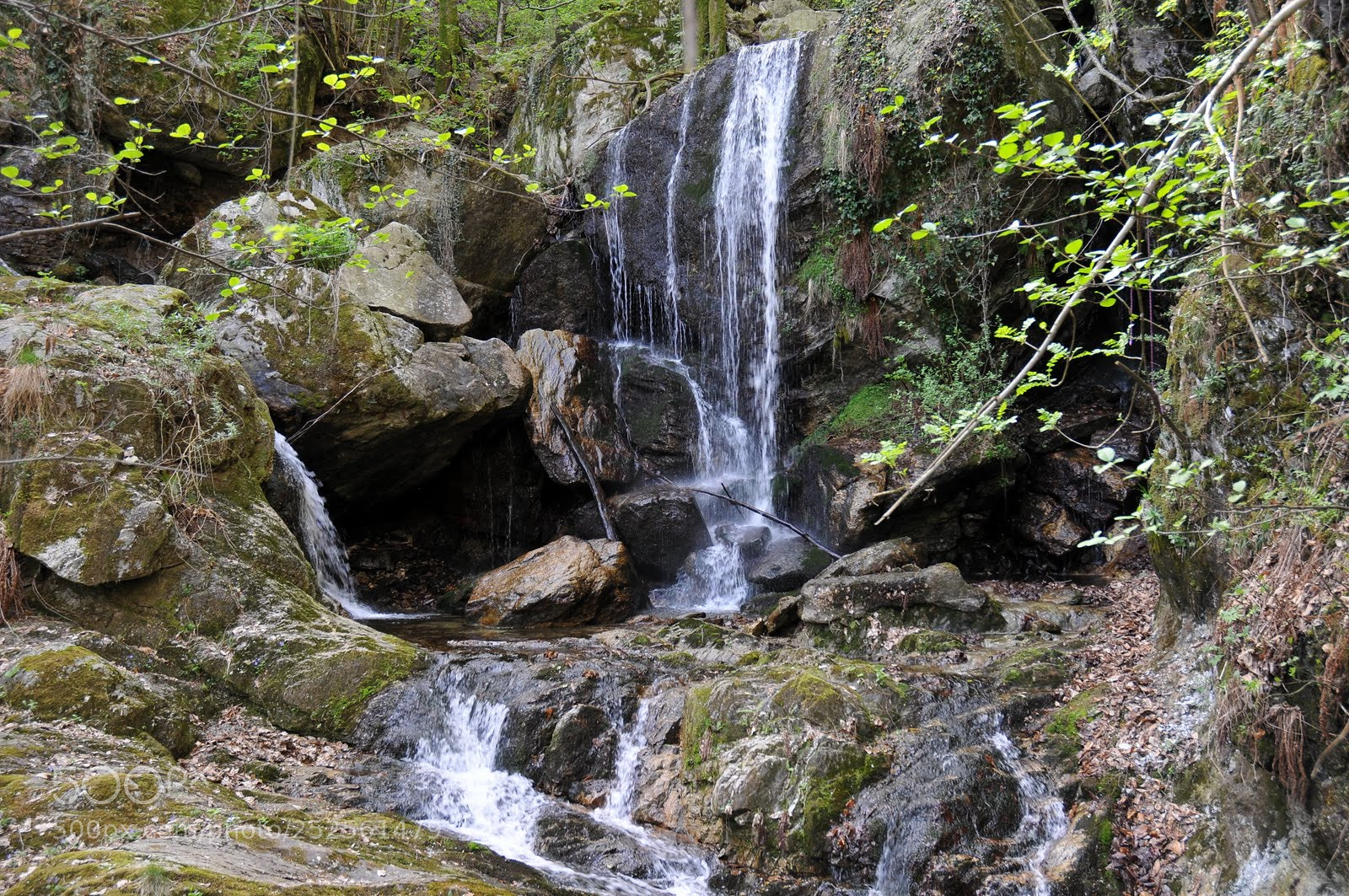 Nikon D300 sample photo. L photography
