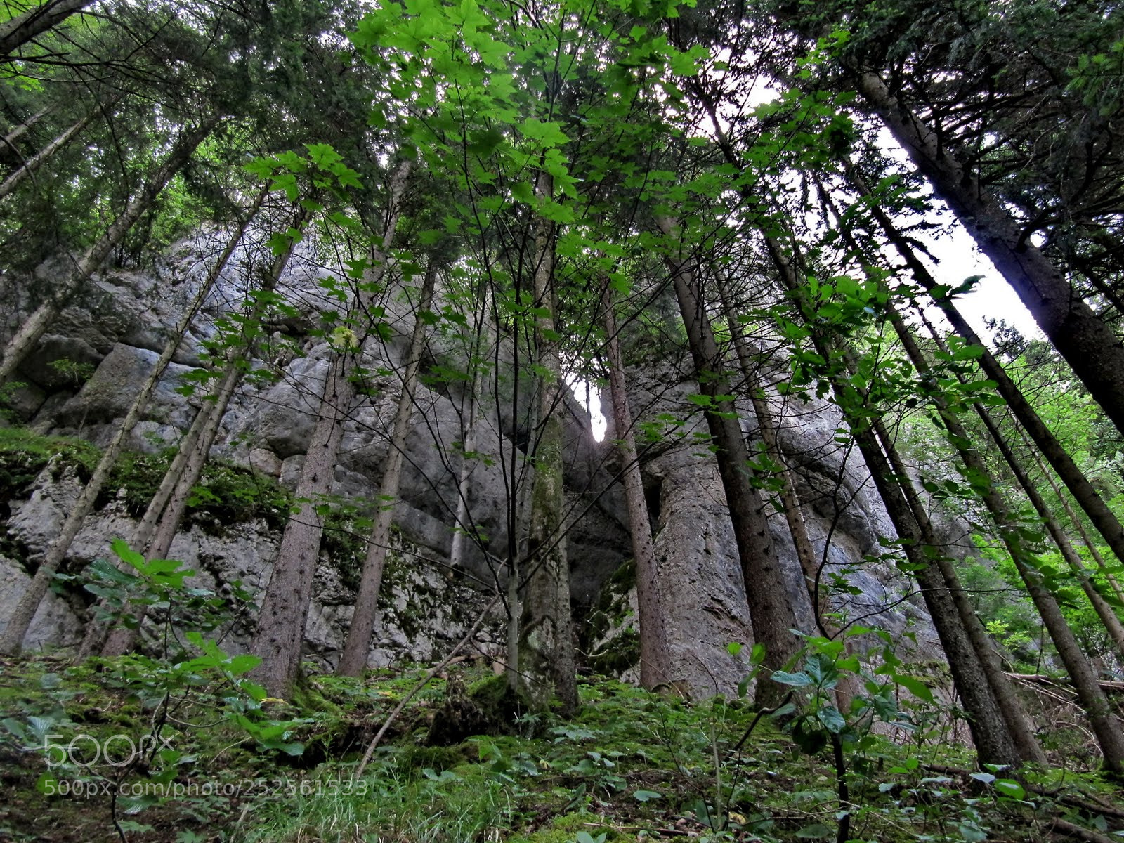 Canon PowerShot SX200 IS sample photo. Ls photography