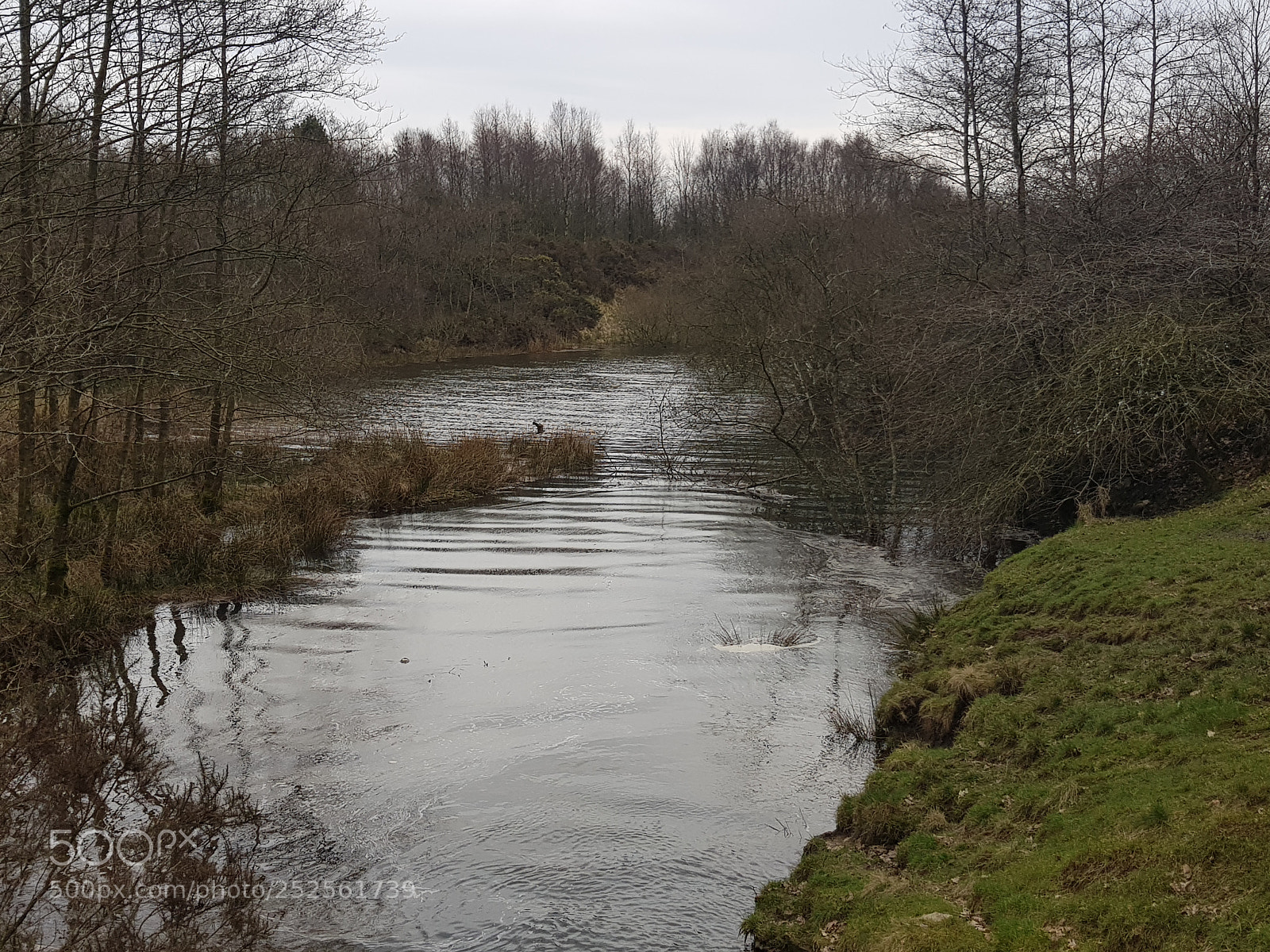 Samsung Galaxy S8 sample photo. Wardle photography