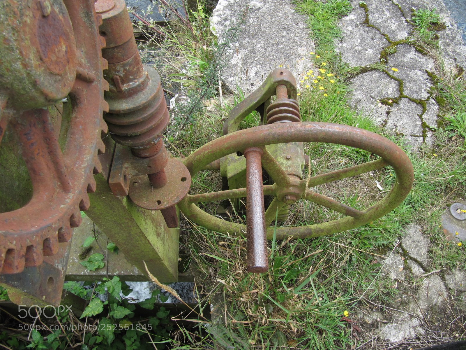 Canon PowerShot SX200 IS sample photo. Img photography
