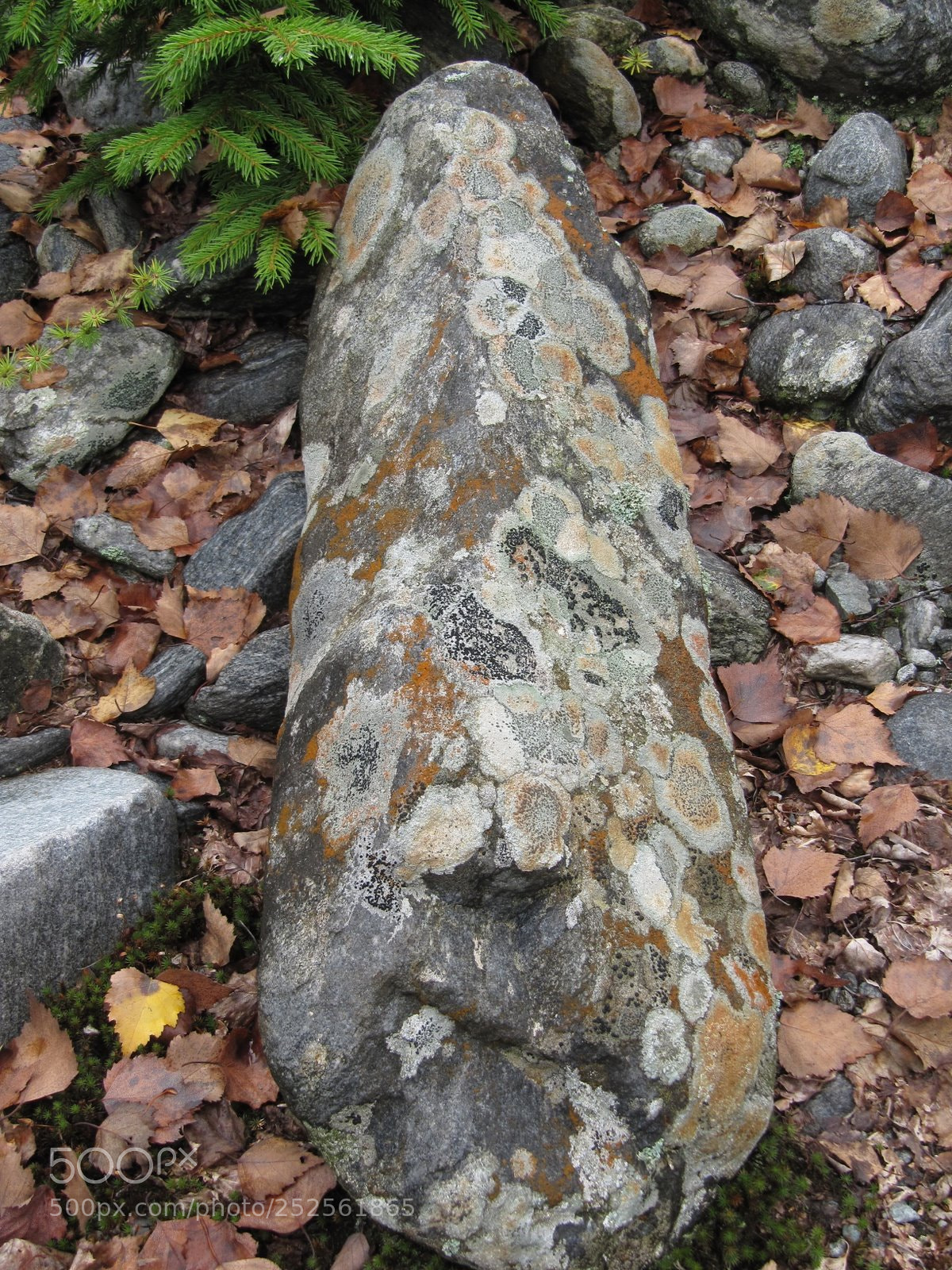 Canon PowerShot SX200 IS sample photo. Img photography