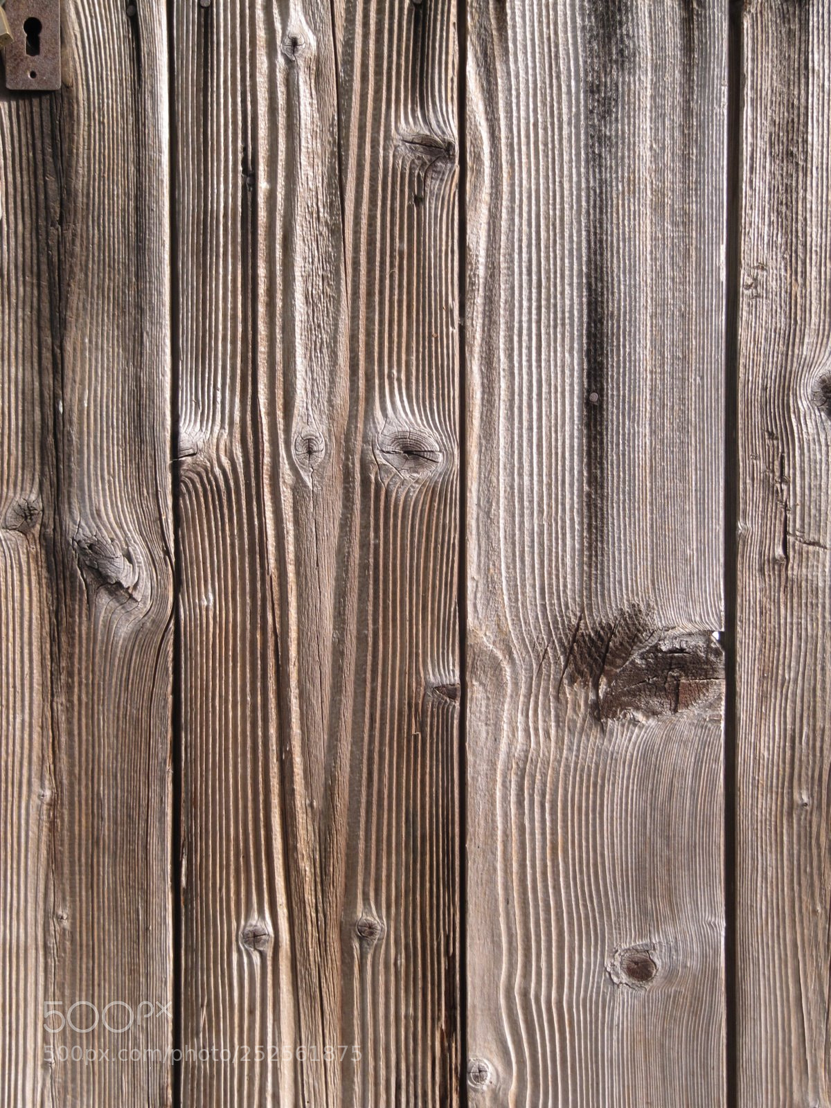 Canon PowerShot SX200 IS sample photo. Img photography