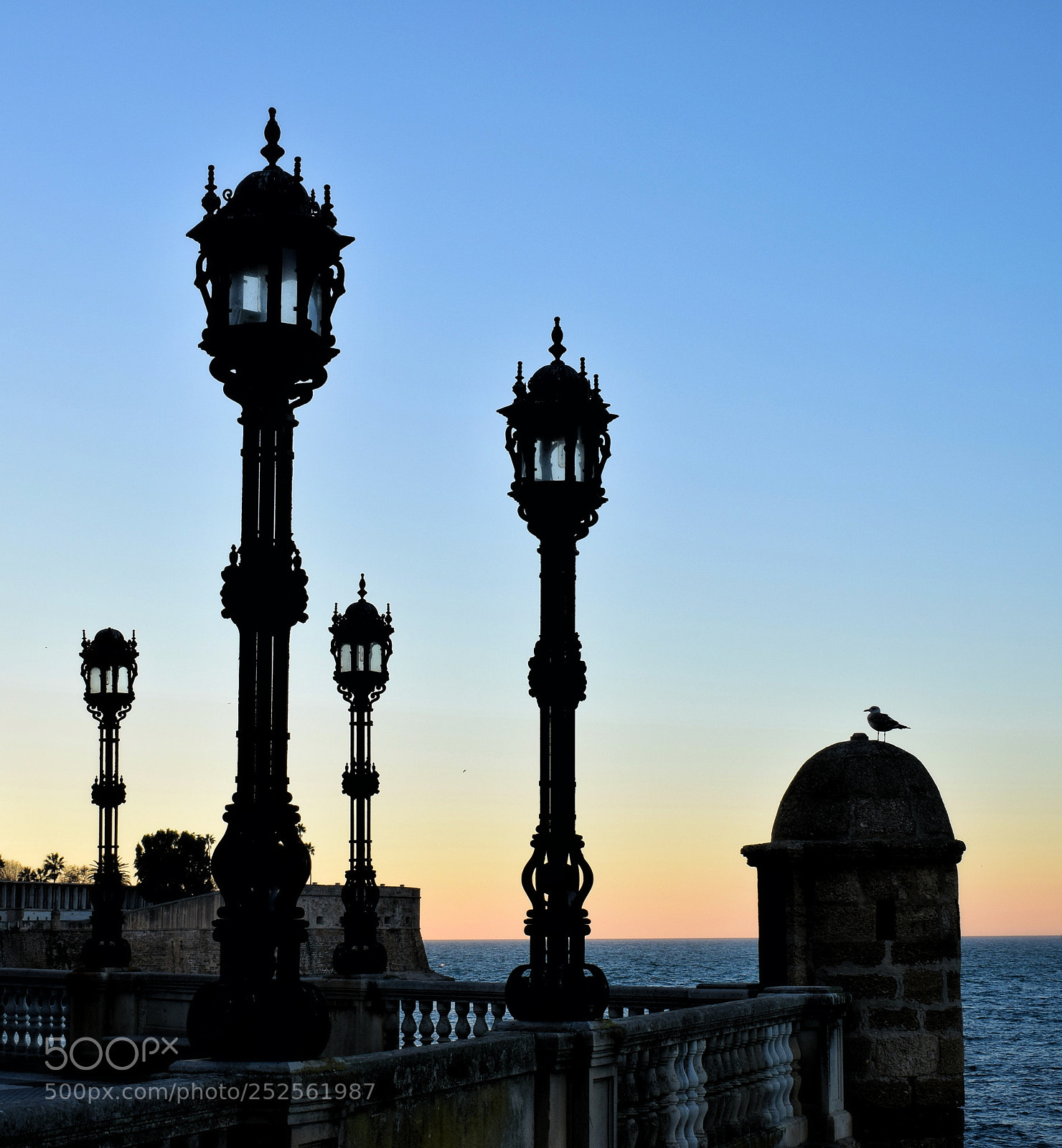 Nikon D5300 sample photo. Sunset in cadiz photography