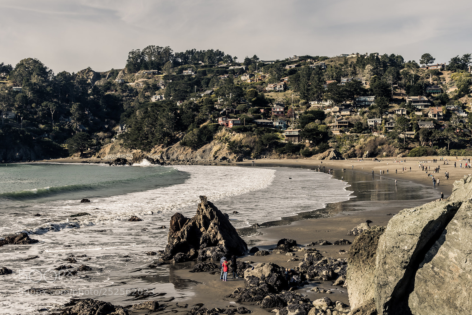 Nikon D7500 sample photo. Low tide photography