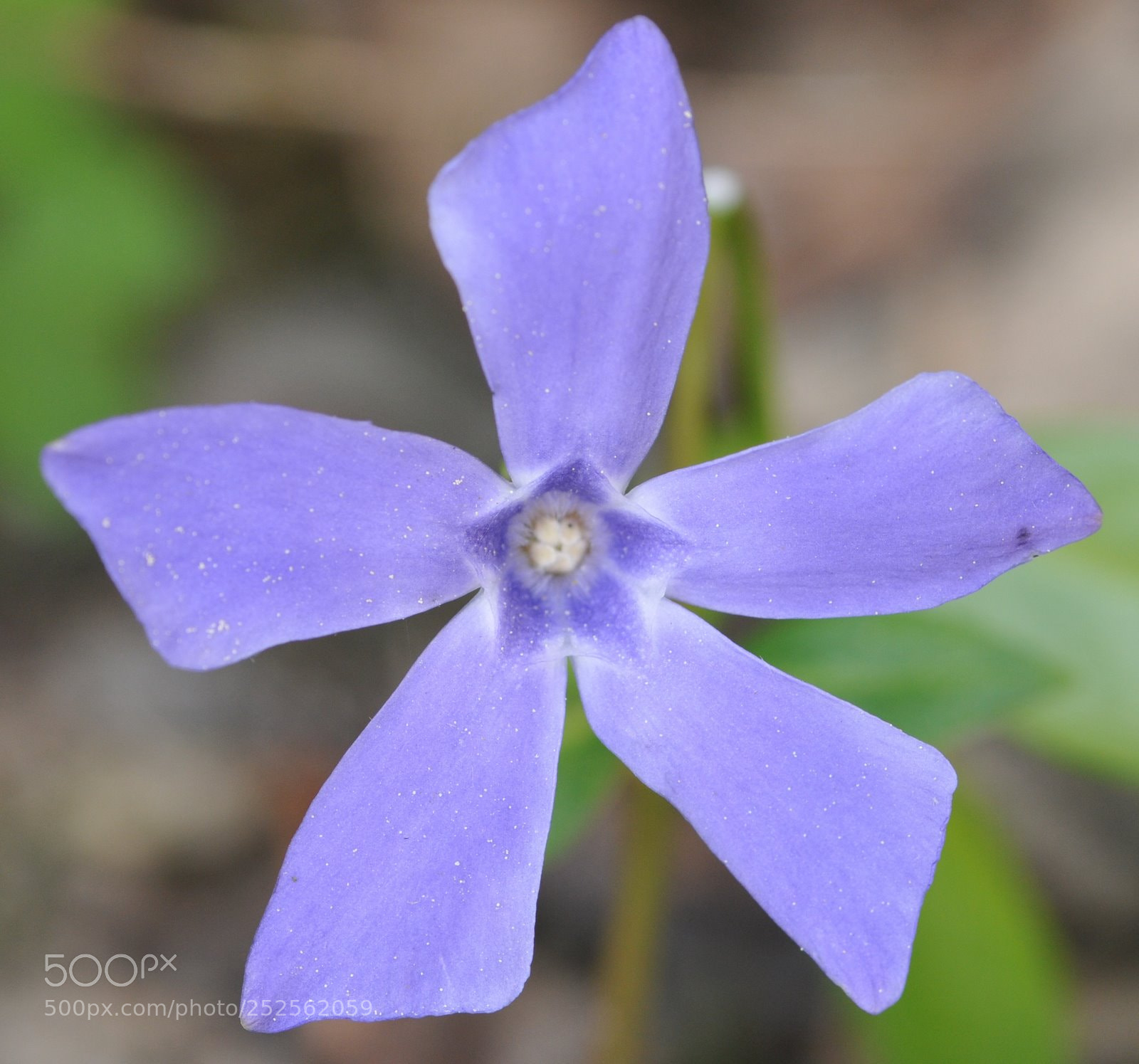 Nikon D300 sample photo. Cut photography