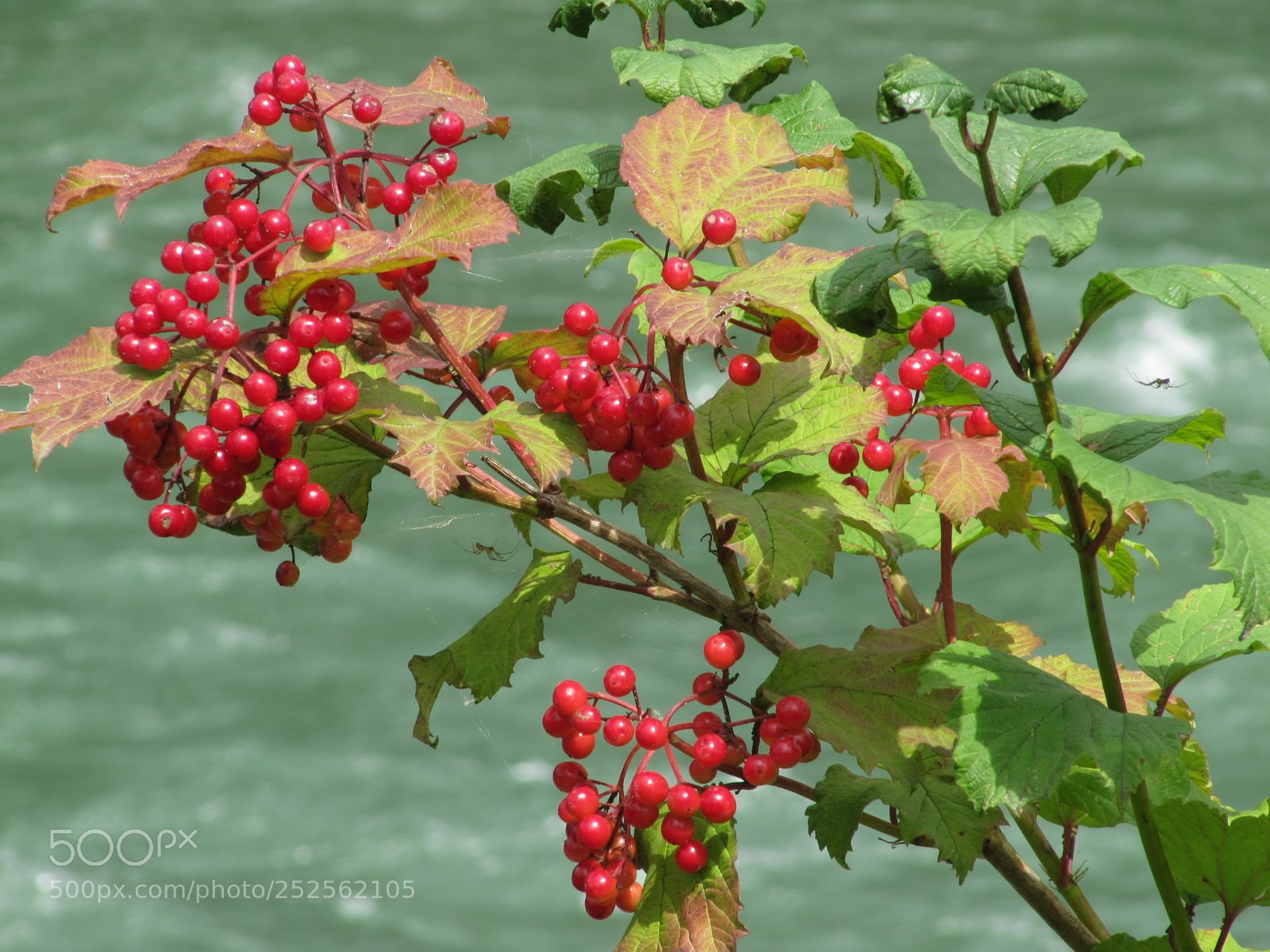 Canon PowerShot SX200 IS sample photo. Img photography