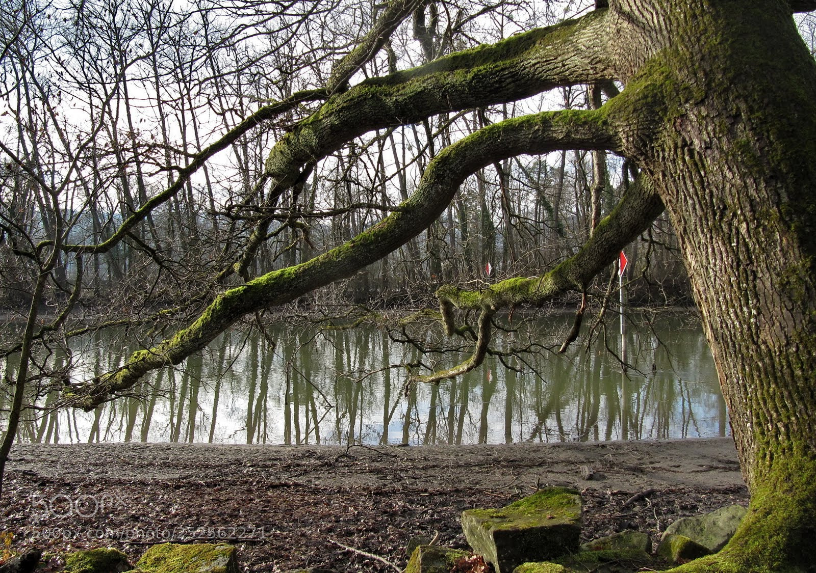 Canon PowerShot SX200 IS sample photo. Cut photography