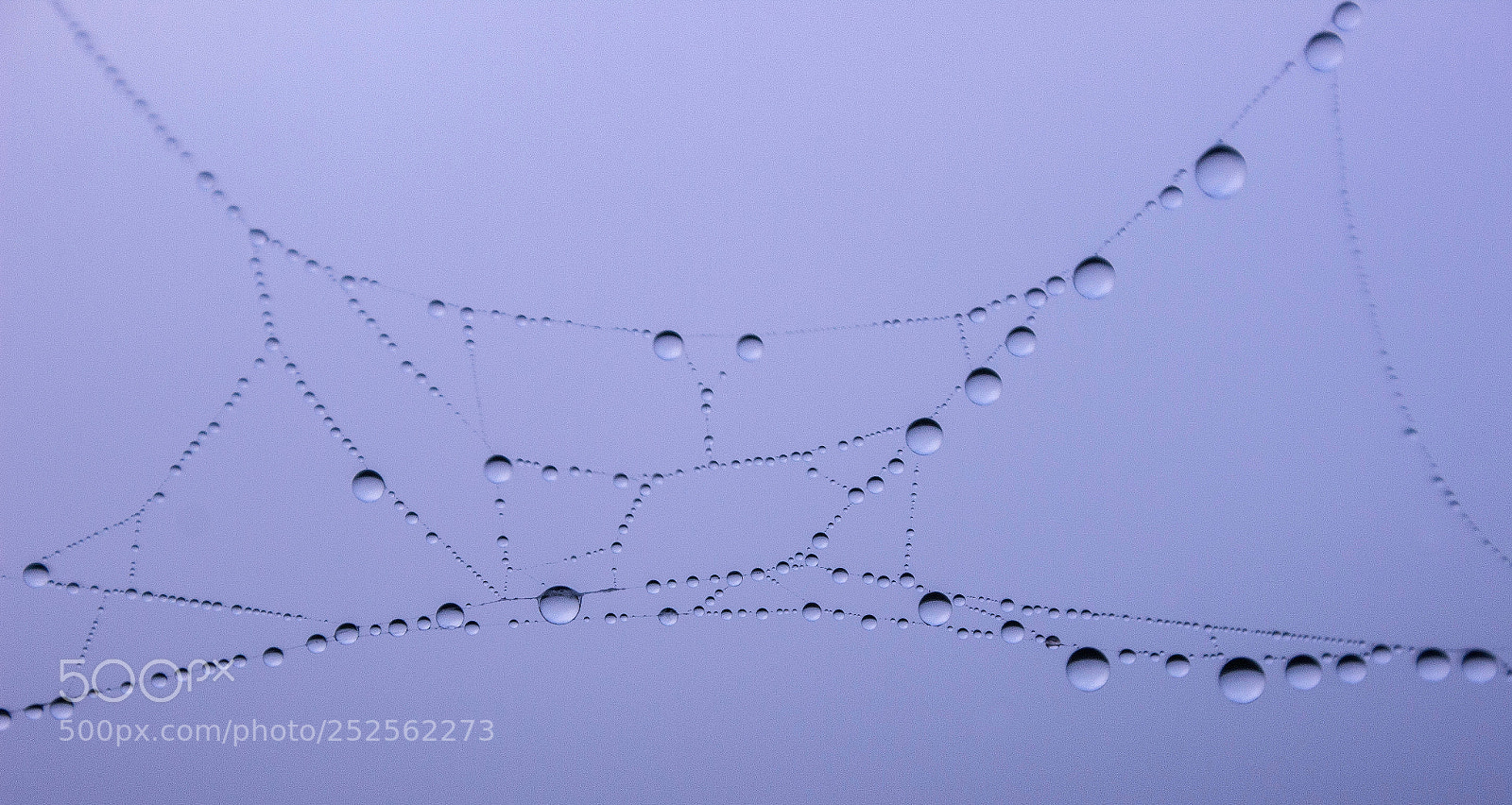 Canon EOS 600D (Rebel EOS T3i / EOS Kiss X5) sample photo. Drops of jupiter credit photography