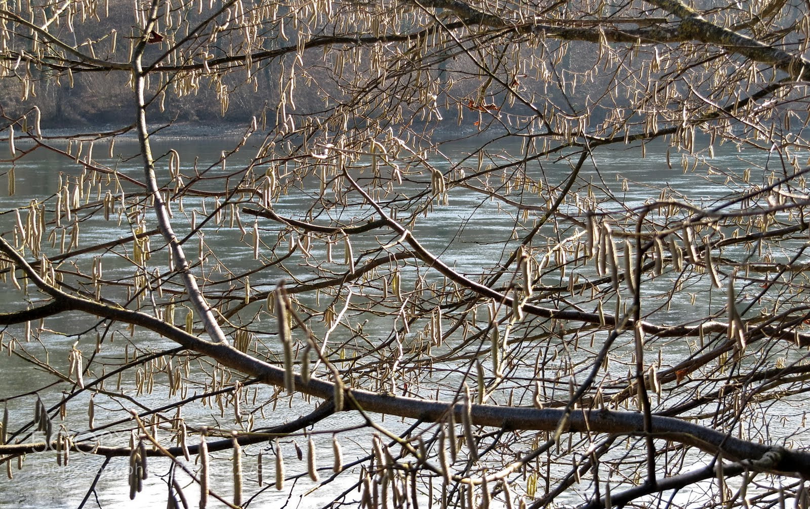 Canon PowerShot SX200 IS sample photo. Ls cut photography