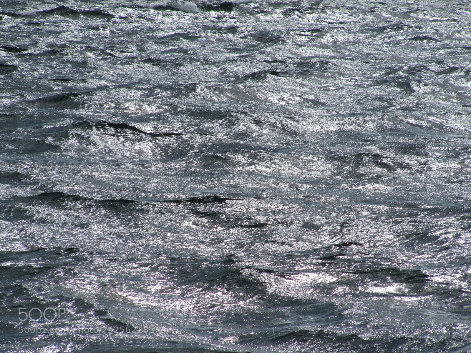 Canon PowerShot SX200 IS sample photo. S photography