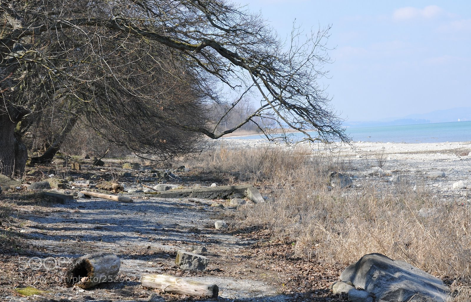 Nikon D300 sample photo. S photography