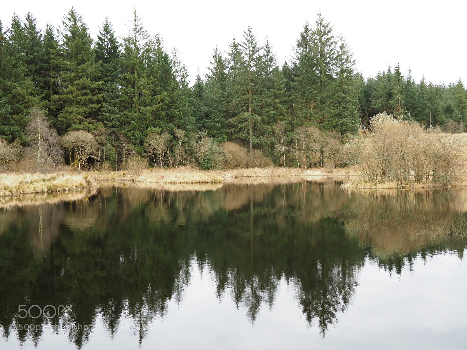 Olympus OM-D E-M10 III sample photo. By the lake photography