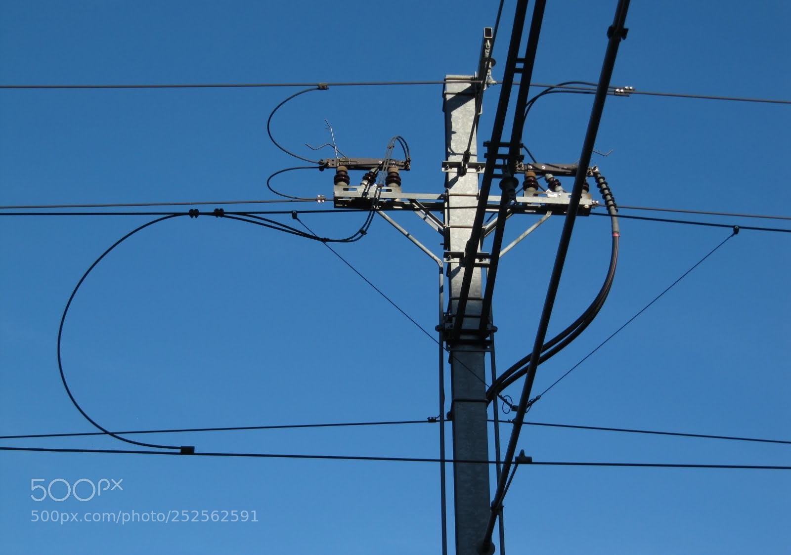 Canon PowerShot SX200 IS sample photo. Cut photography