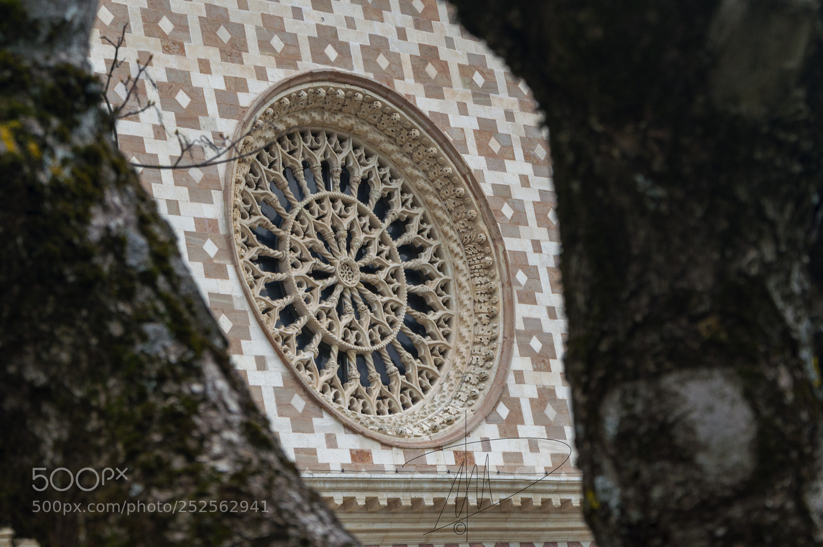 Nikon D3200 sample photo. Rosone. photography