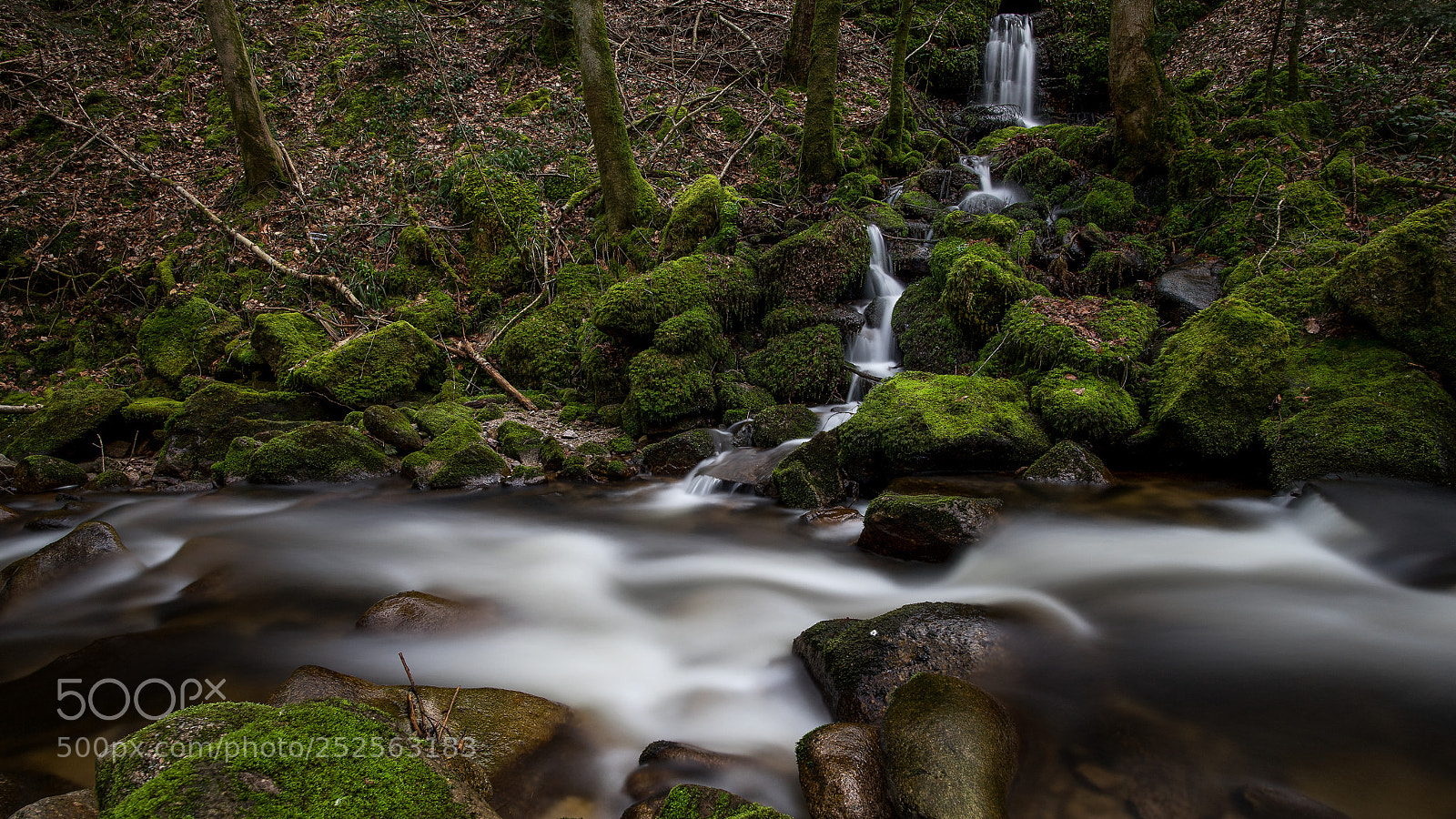 Sony a7 II sample photo. Wasser 02 photography