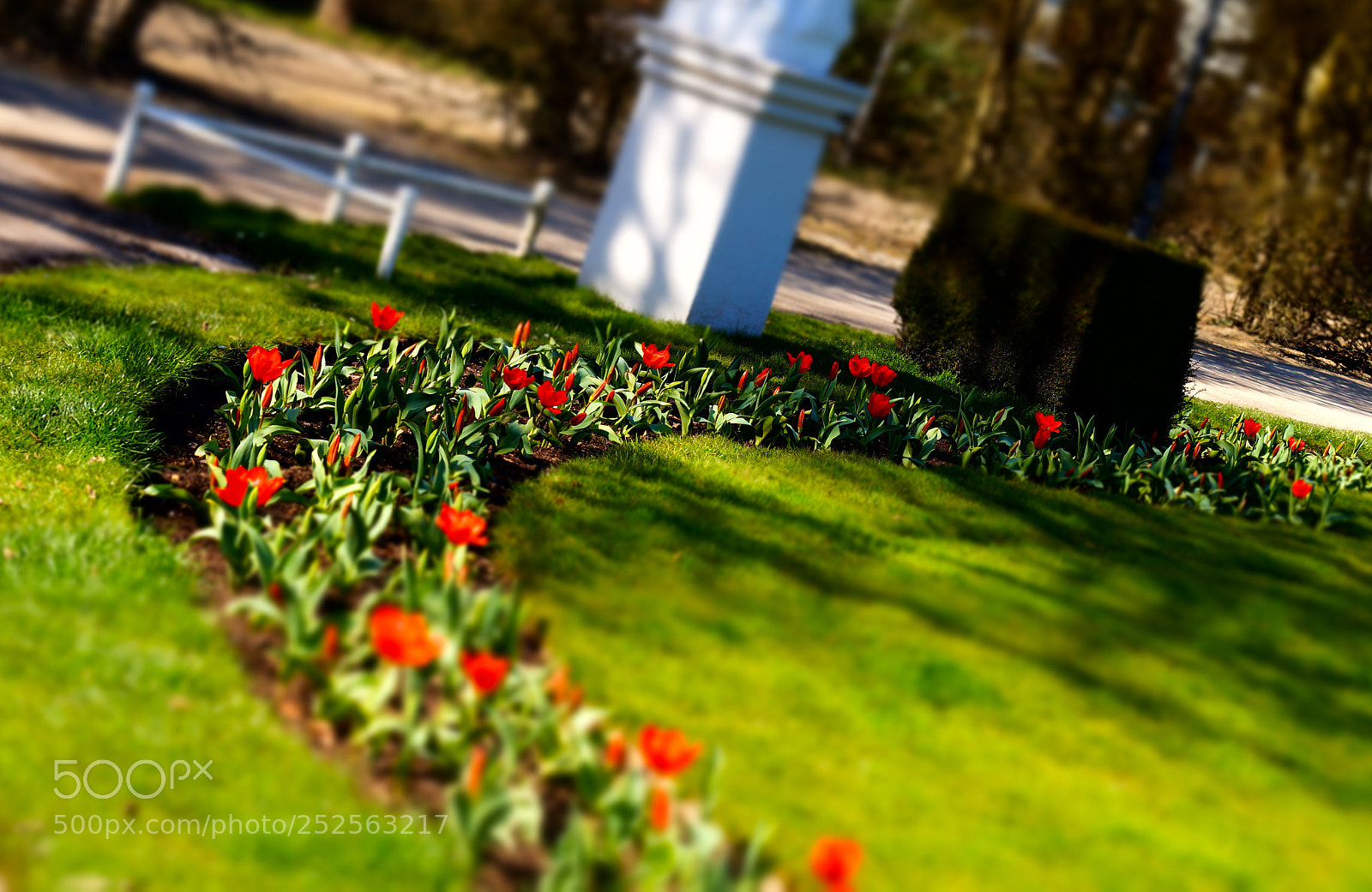 Sony SLT-A58 sample photo. Spring crescent photography