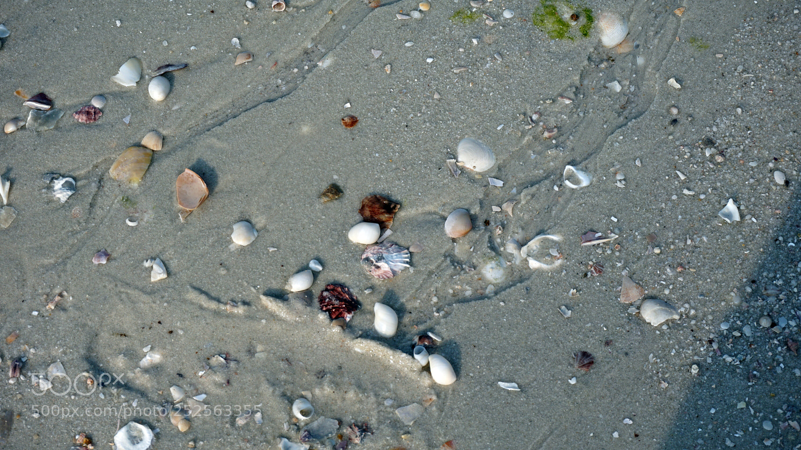 Sony a6000 sample photo. Koh rong samloem beach photography