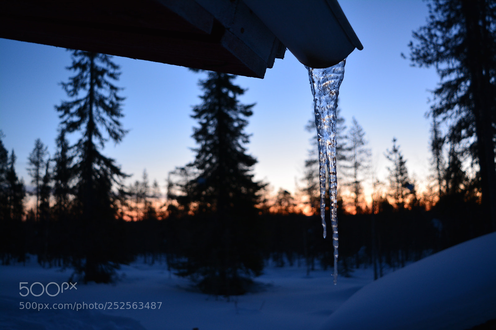 Nikon D5200 sample photo. Icicle photography