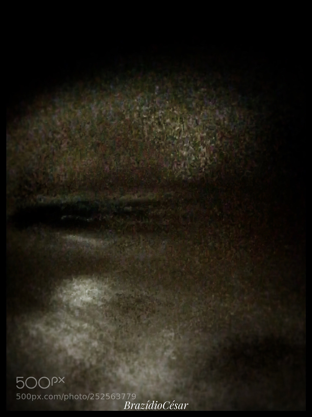 Apple iPhone 6s sample photo. Untitled photography