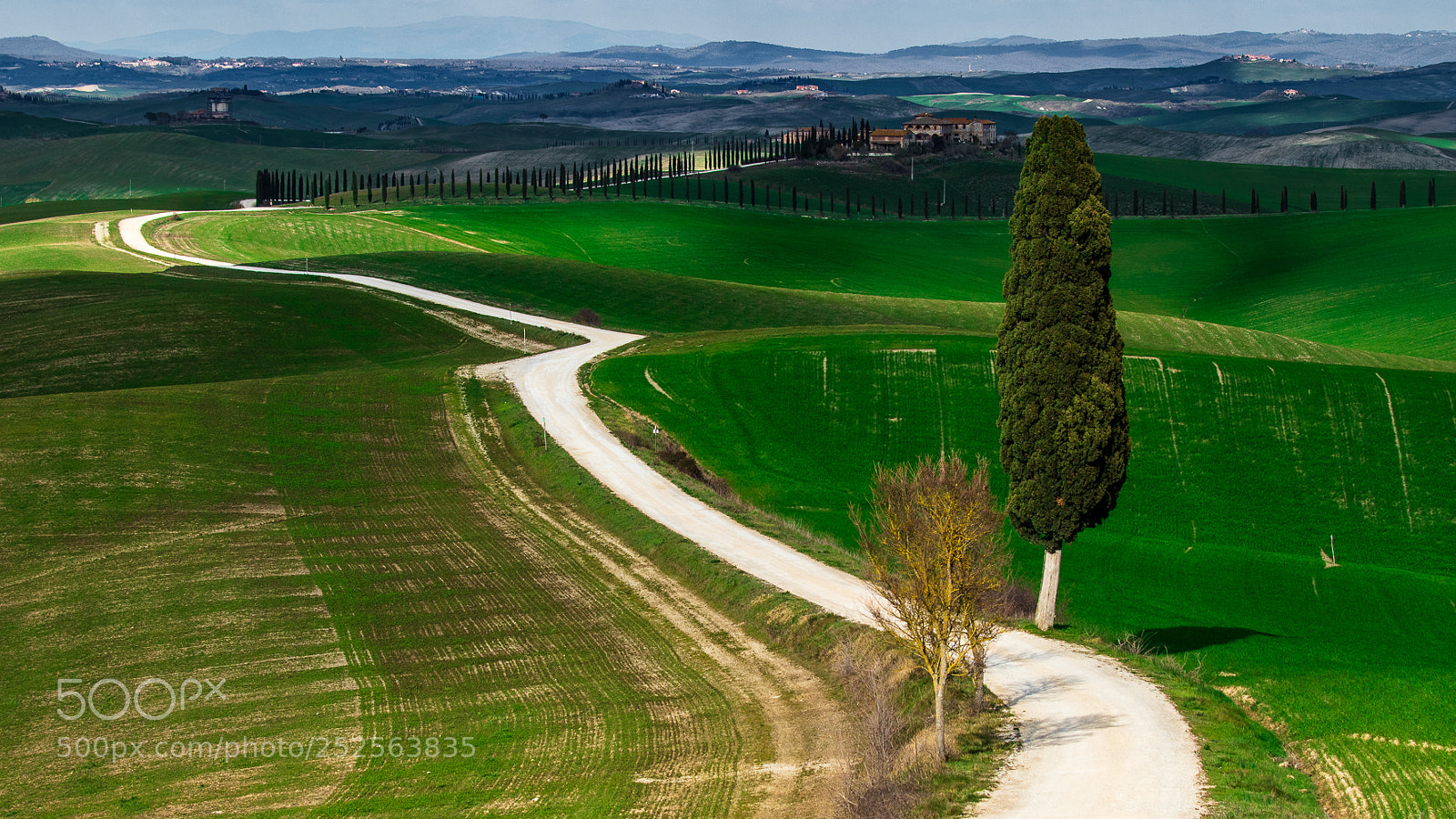 Canon EOS M5 sample photo. Tuscany filed photography