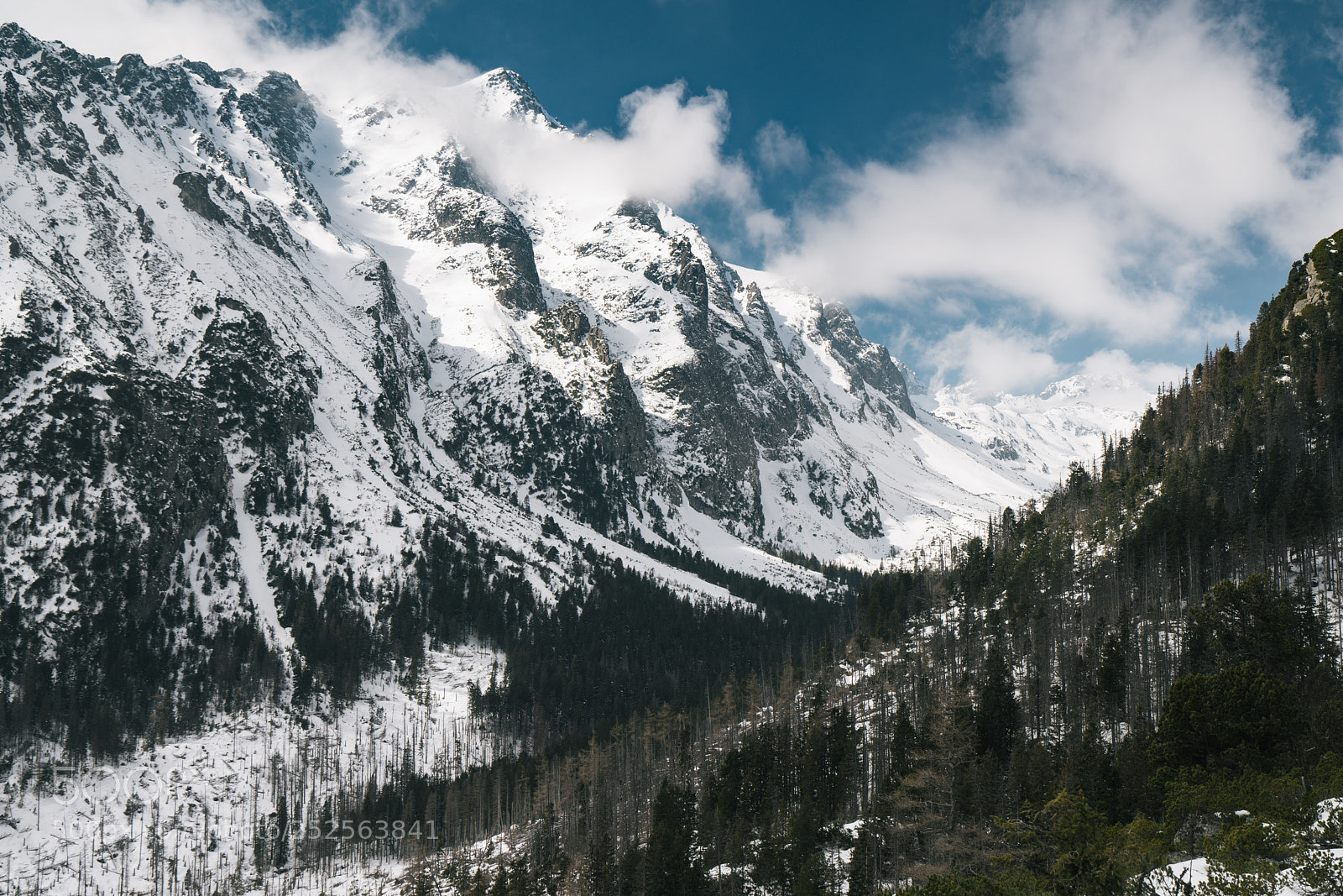 Sony a7R III sample photo. Vysoke tatry, velk studen photography