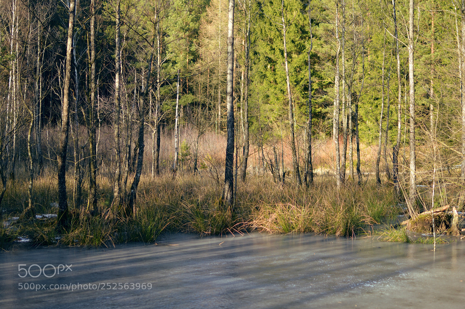 Nikon D7500 sample photo. From a frozen point photography