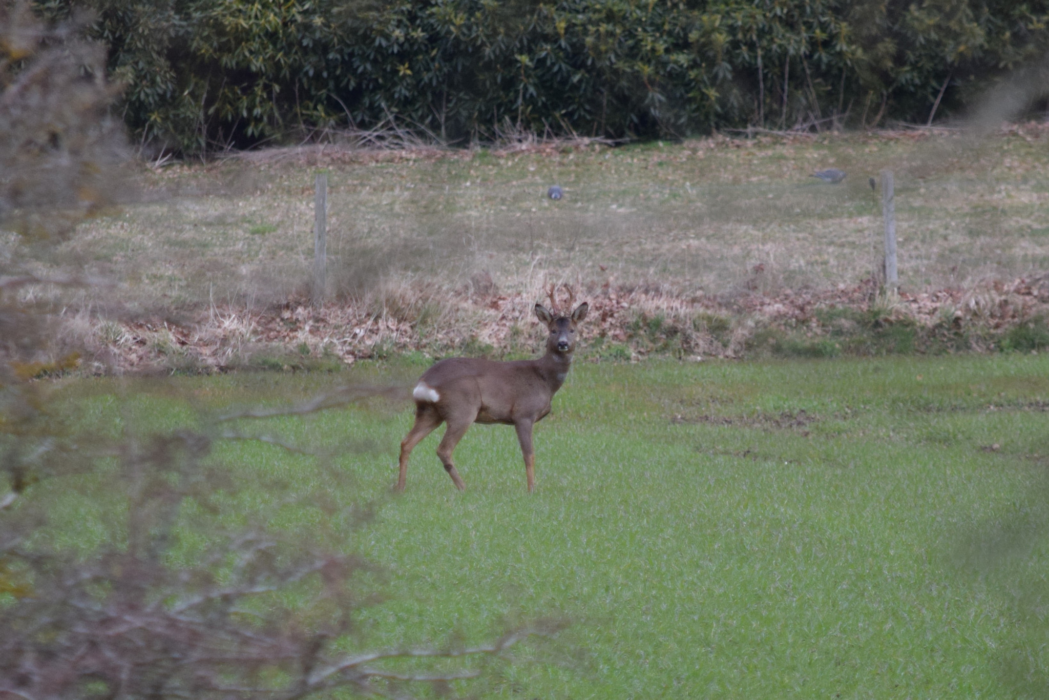 Nikon D5300 sample photo. () photography