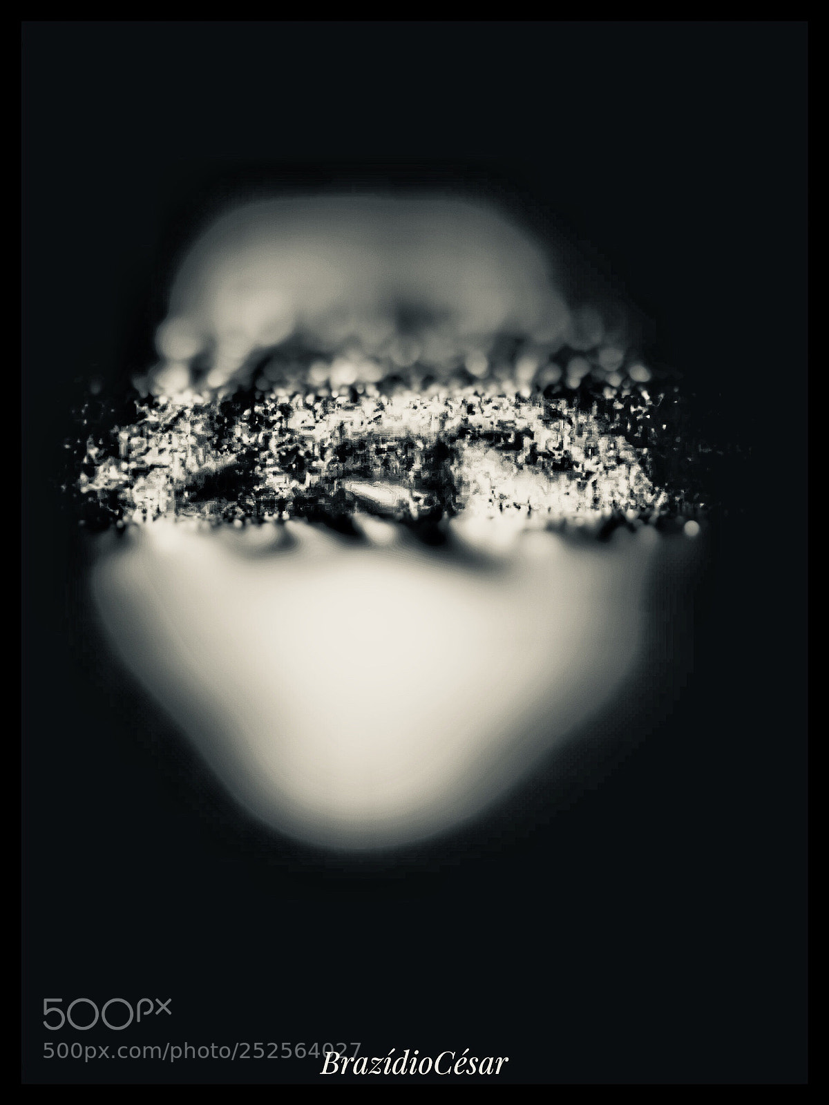 Apple iPhone 6s sample photo. Untitled photography