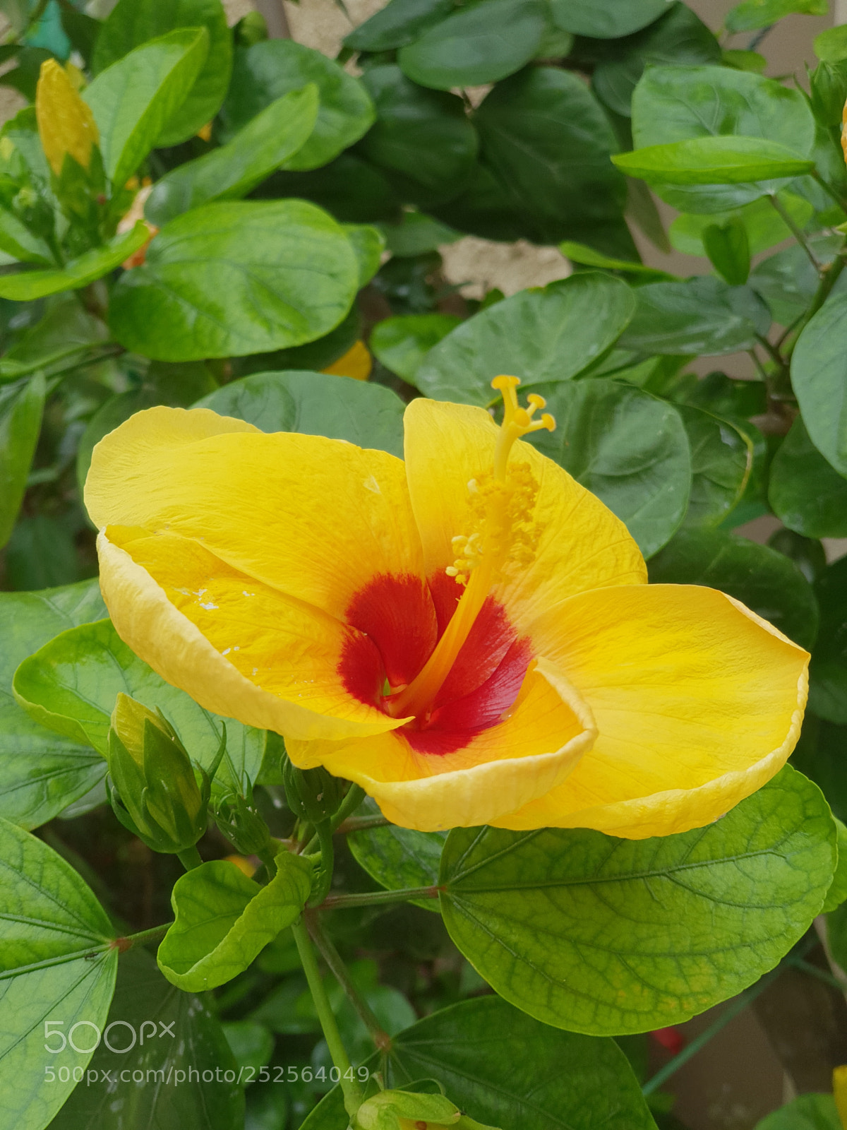 Samsung Galaxy S9+ sample photo. Untitled photography