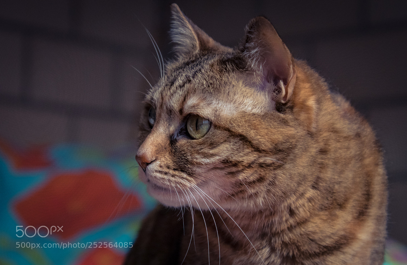 Canon EOS 80D sample photo. Lilou avril 2018 - 2 photography