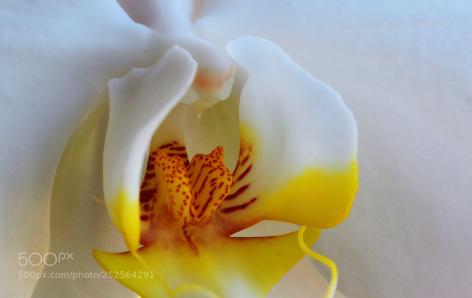 Nikon D5200 sample photo. Beatiful photography