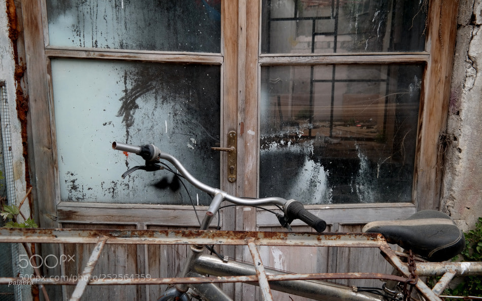 Samsung NX300 sample photo. ... photography