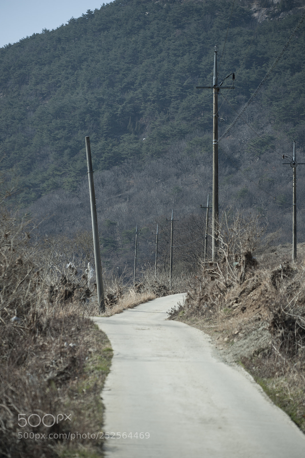 Nikon D700 sample photo. On the road 2 photography