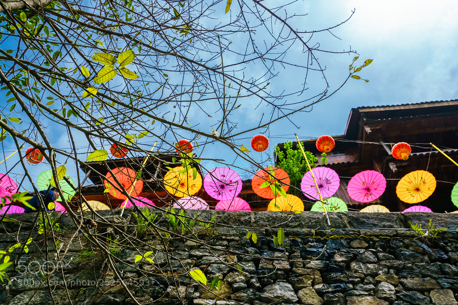 Sony a7R II sample photo. Colorful photography
