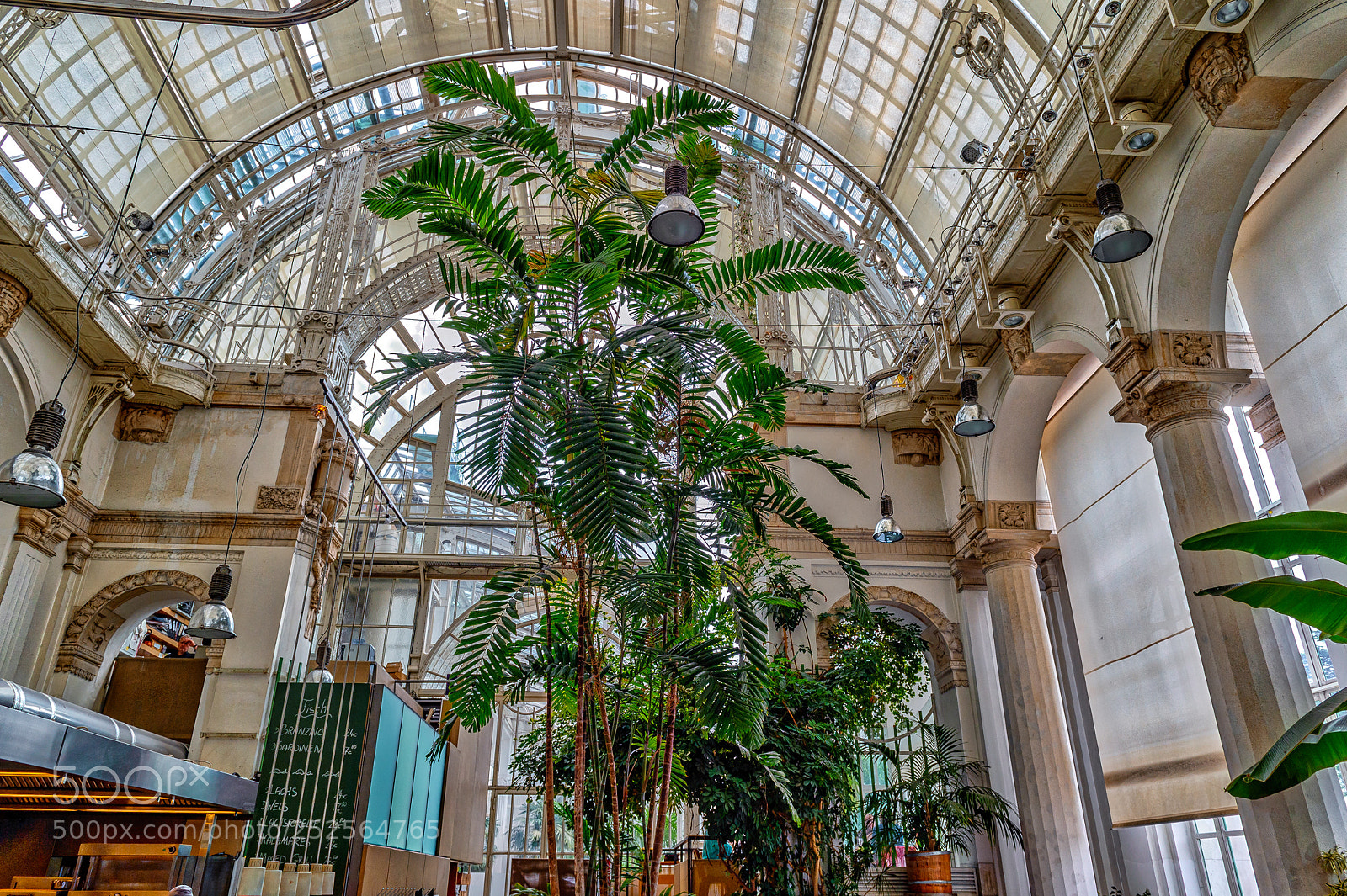 Nikon D4S sample photo. Inside "part" of vienna ! photography