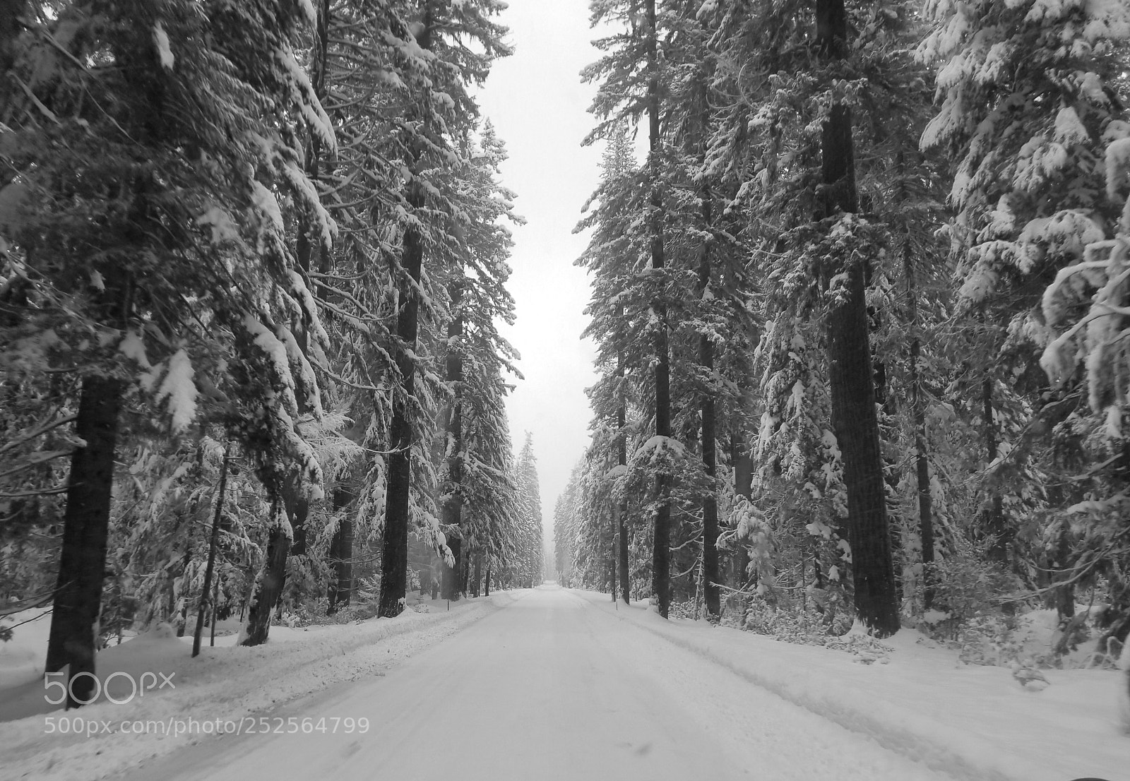 Samsung Galaxy S8+ sample photo. The road less travelled photography