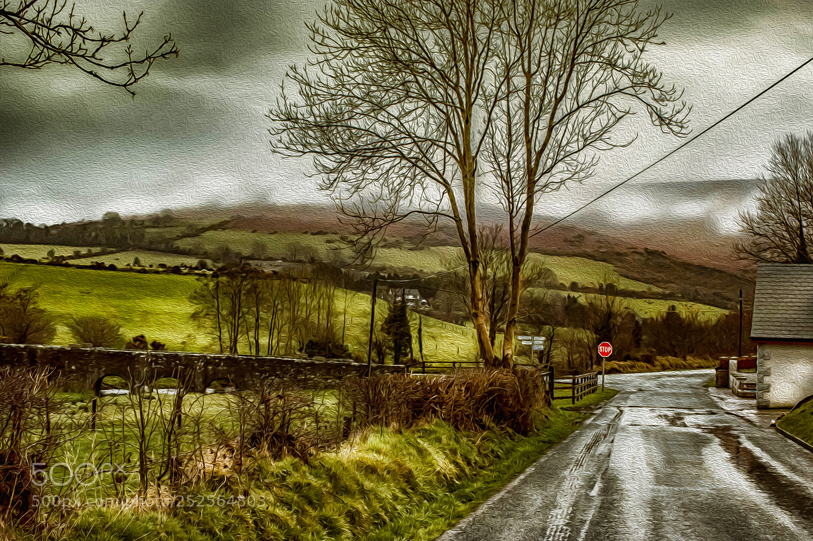 Canon EOS 600D (Rebel EOS T3i / EOS Kiss X5) sample photo. A wet morning photography