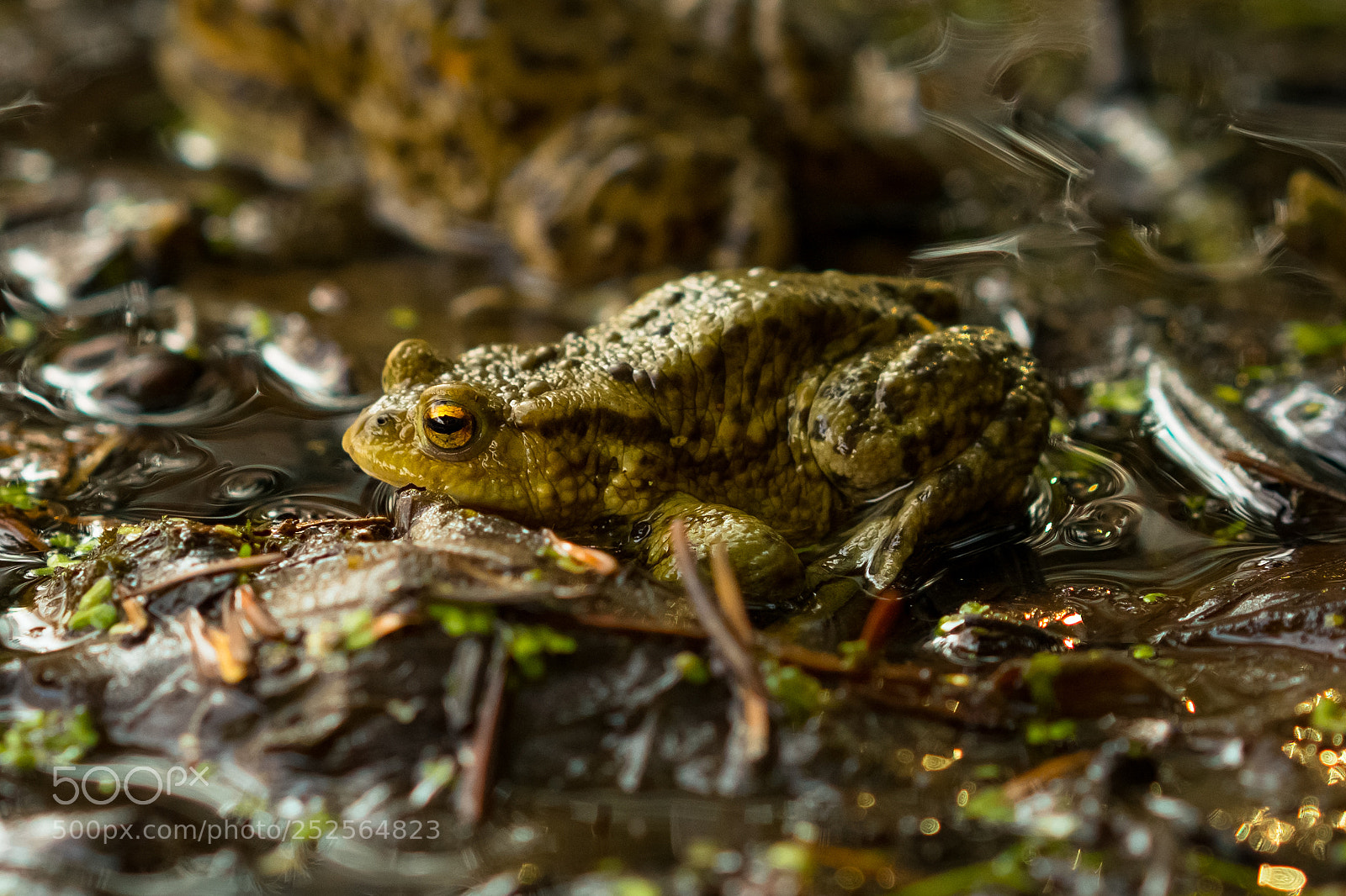 Sony a7 II sample photo. Dsc photography