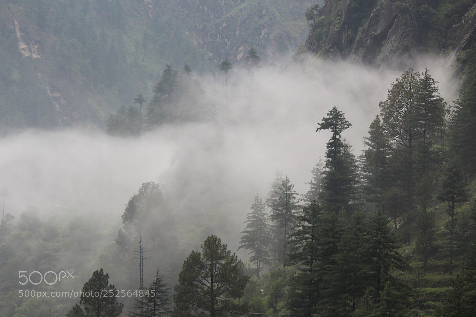 Canon EF-S 55-250mm F4-5.6 IS II sample photo. Djdl photography