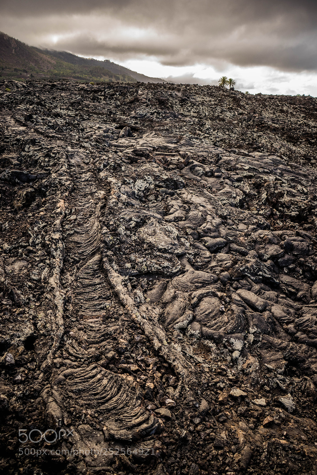 Sony a7R sample photo. Lavafield of la palma photography