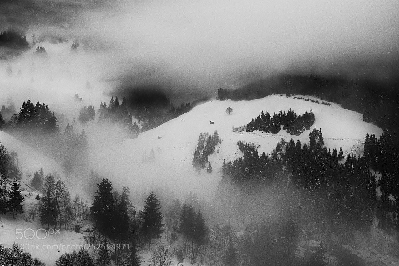 Canon EOS 7D Mark II sample photo. Winter mood photography