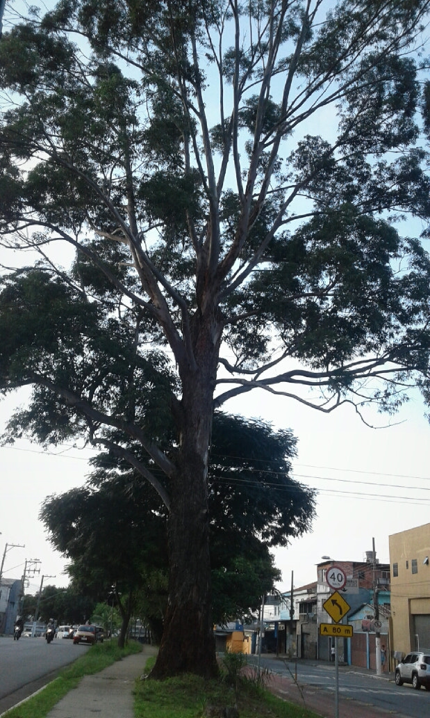 Samsung Galaxy J1(2016) sample photo