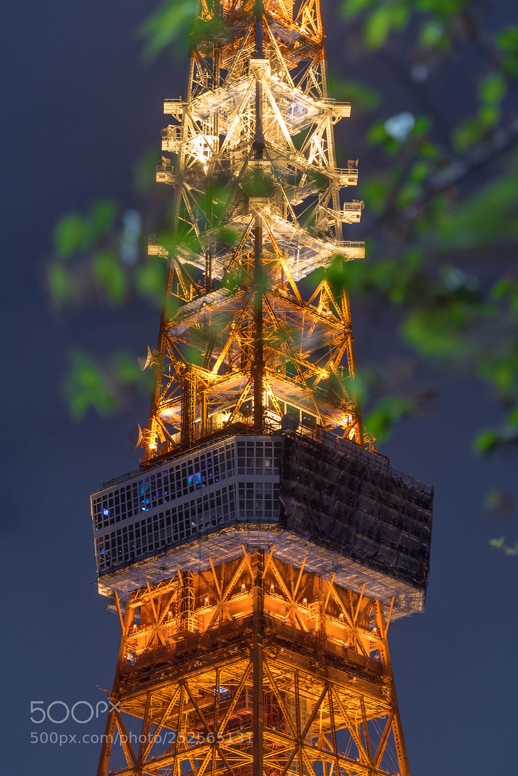 Nikon D750 sample photo. Tokyo tower photography