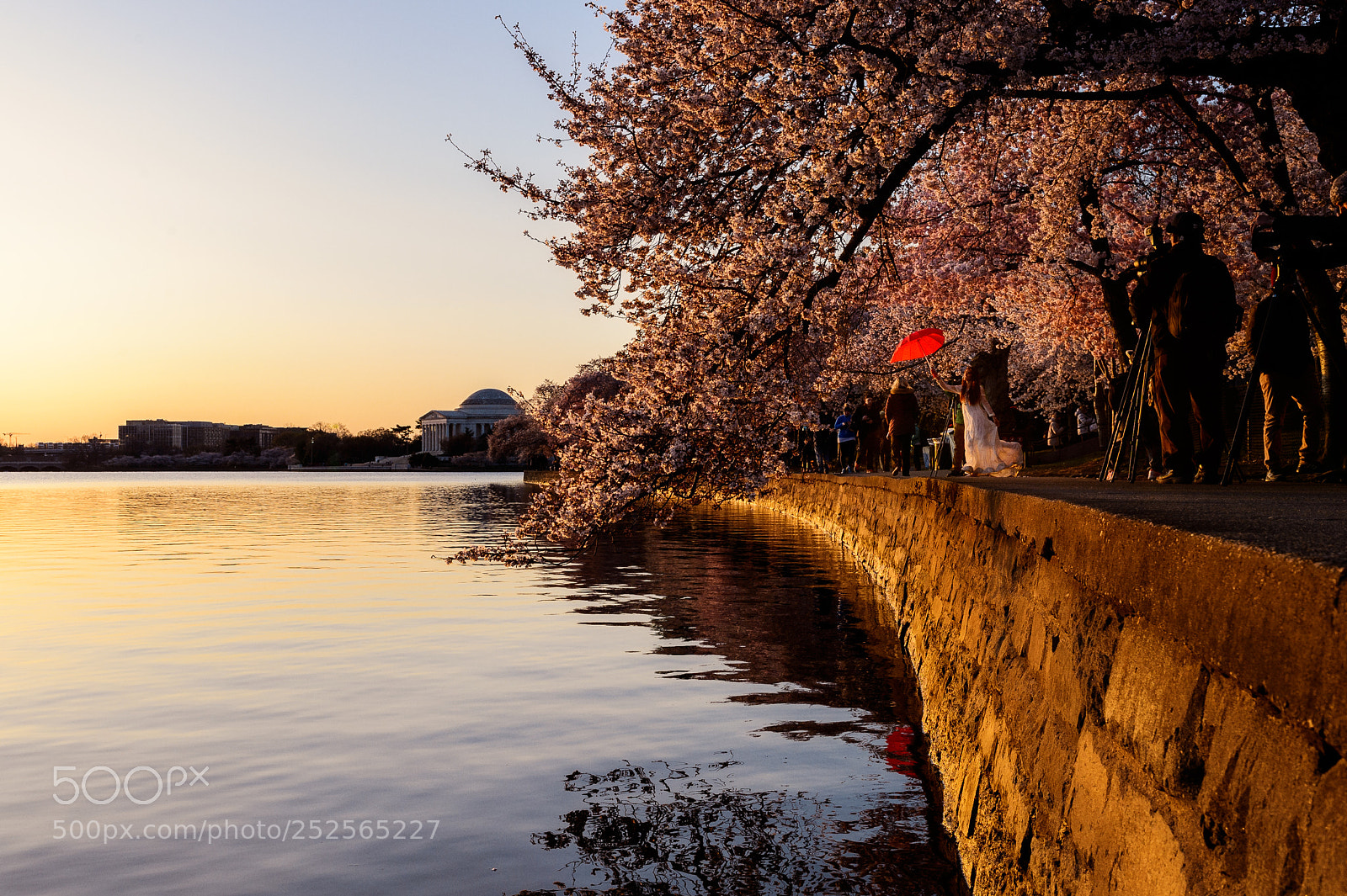 Nikon Df sample photo. Cherry blossom sunrise on photography