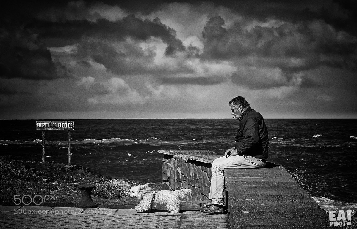 Sony Cyber-shot DSC-RX100 sample photo. El macho, el perro photography