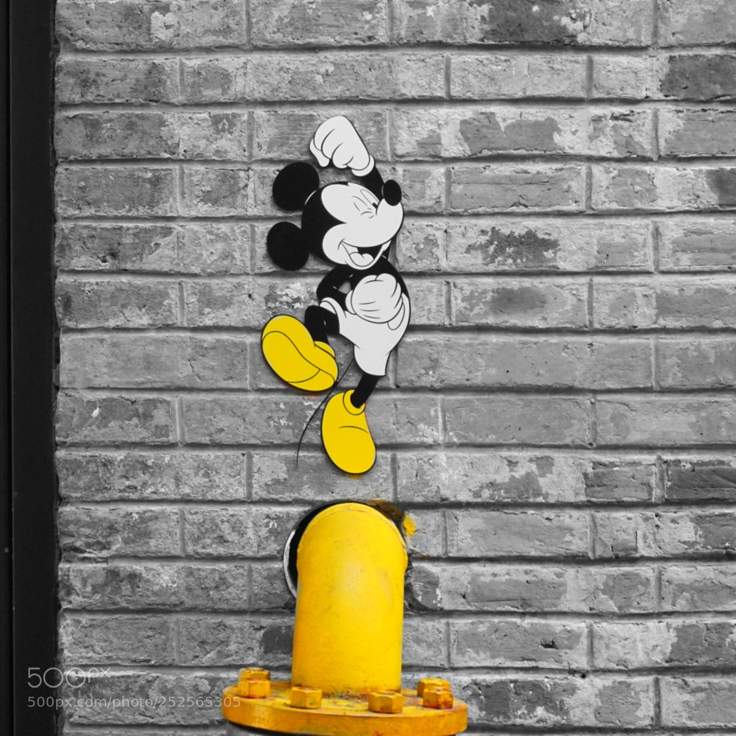 Sony a6000 sample photo. Mickey! photography