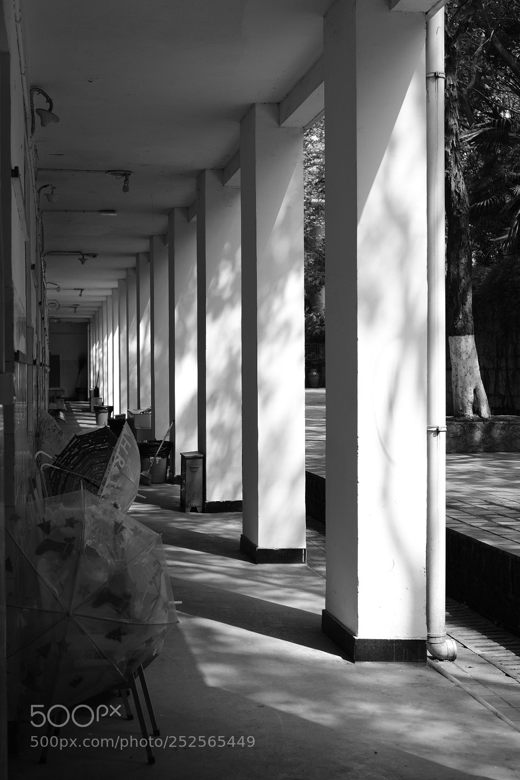 Fujifilm X-T2 sample photo. Untitled photography